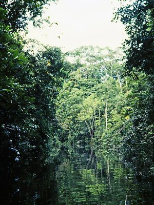 Amazonas, Markus C. Schulte von Drach