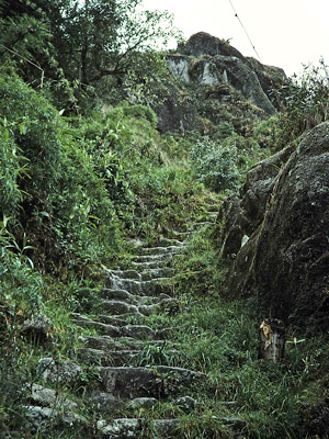 Inkatrail Treppe, copyright: Markus C. Schulte von Drach